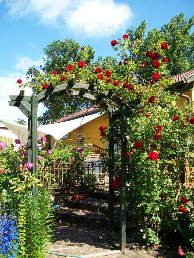 Barrel -Schlafen Im Fass Hotell Gorleben Exteriör bild