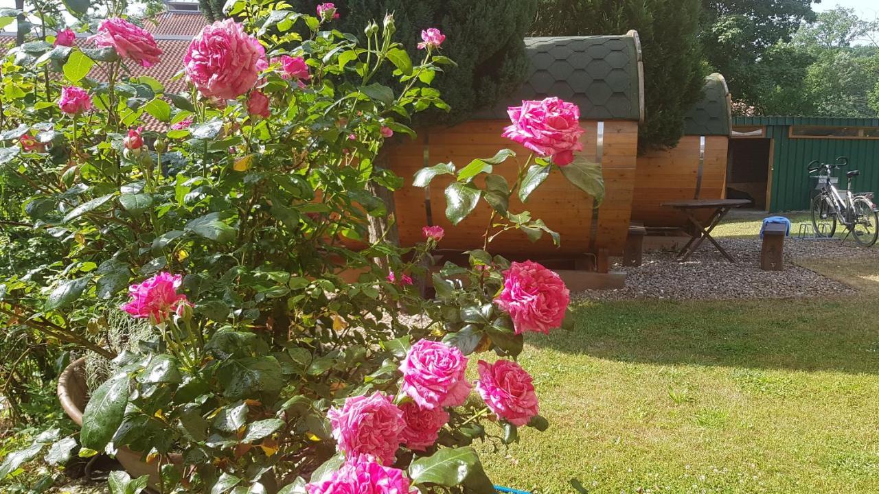 Barrel -Schlafen Im Fass Hotell Gorleben Exteriör bild